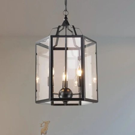 Cage C0056