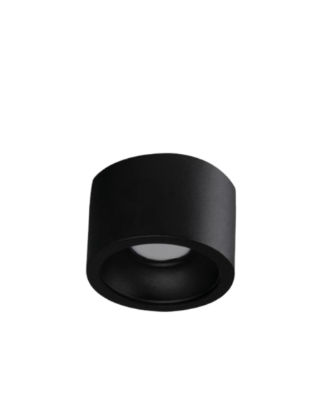 RAY 10W CCT