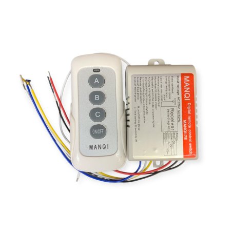 Driver remote control switch